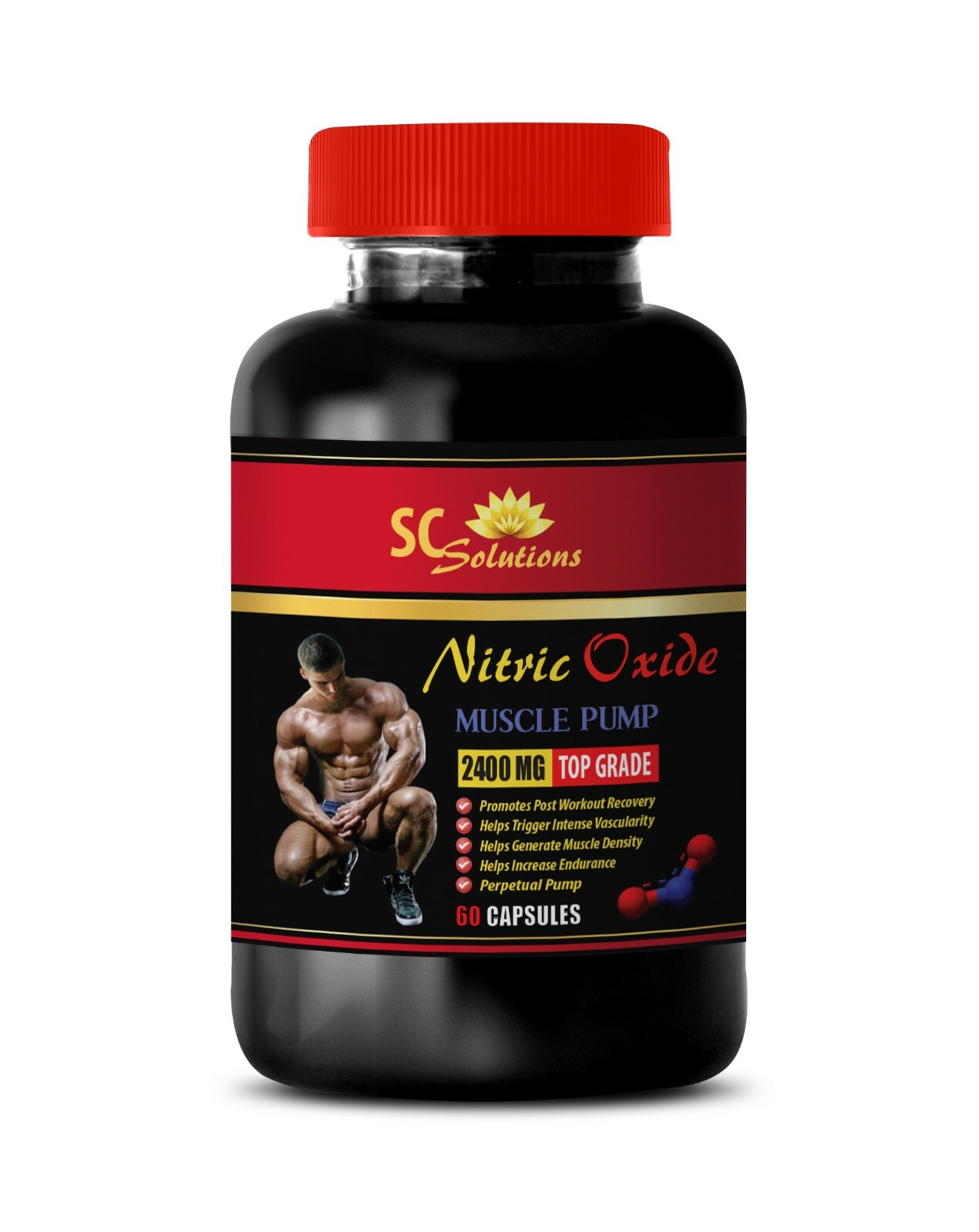Whey protein powder – NITRIC OXIDE 2400 Mg – 1B – for increasing blood flow