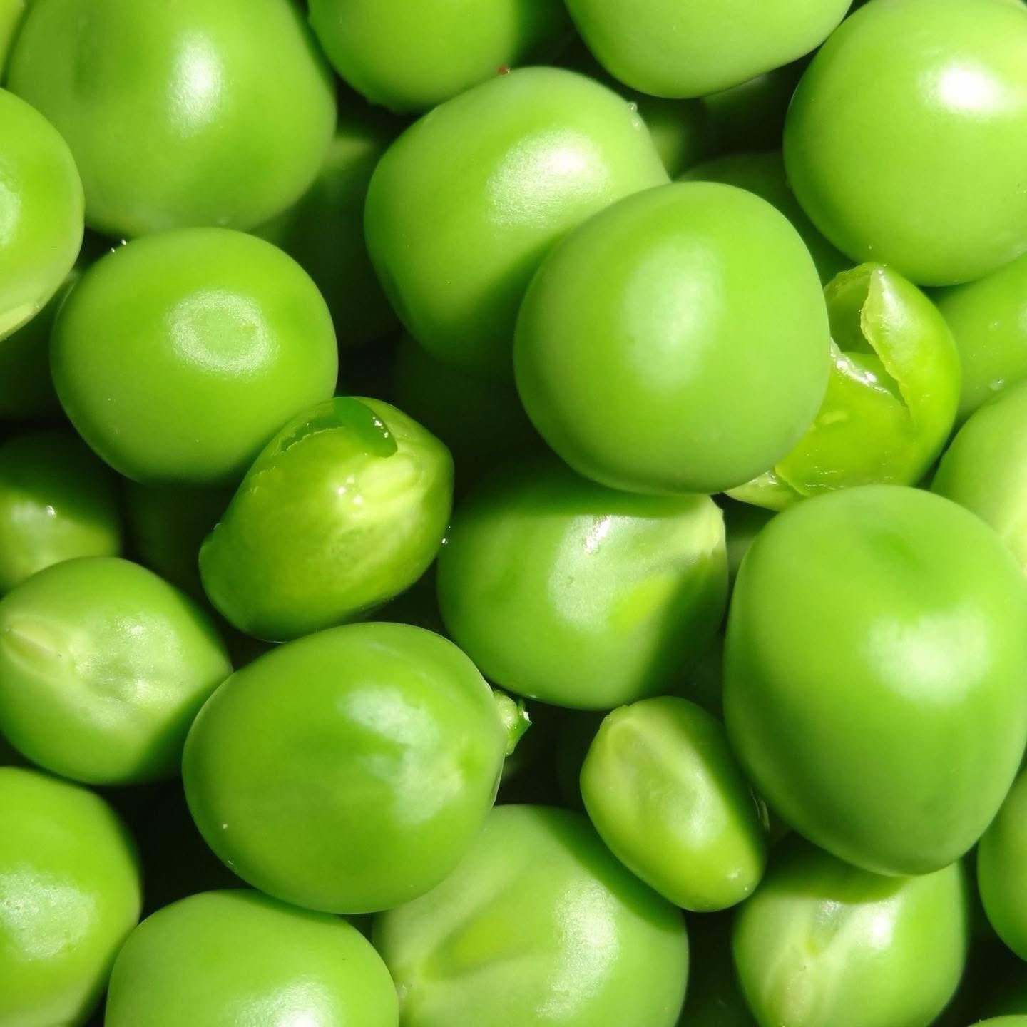 AIM Pro Peas Protein Powder Vanilla Flavor Muscle Builder