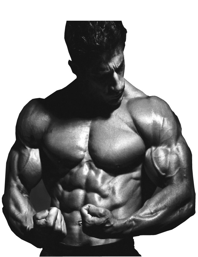 Natural Male Enhancement – TRIBULUS TERRESTRIS Strong body help – 1 bottle 60 t.