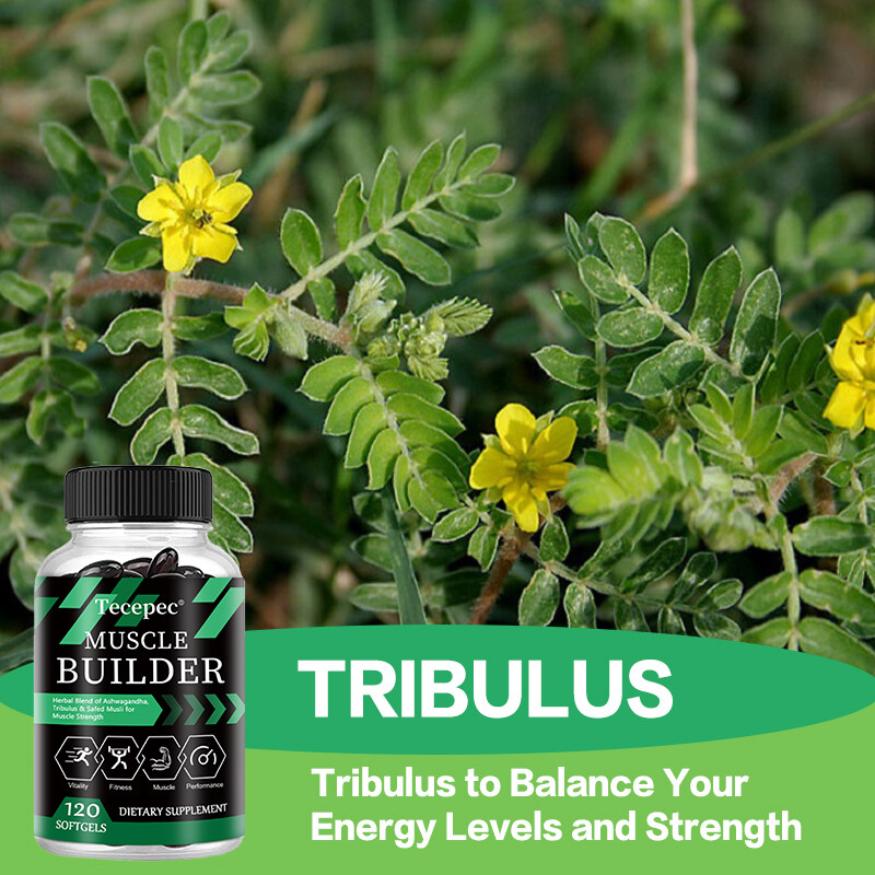 Muscle Builder, Herbal Blend of Ashwagandha, Tribulus For Muscle Strength