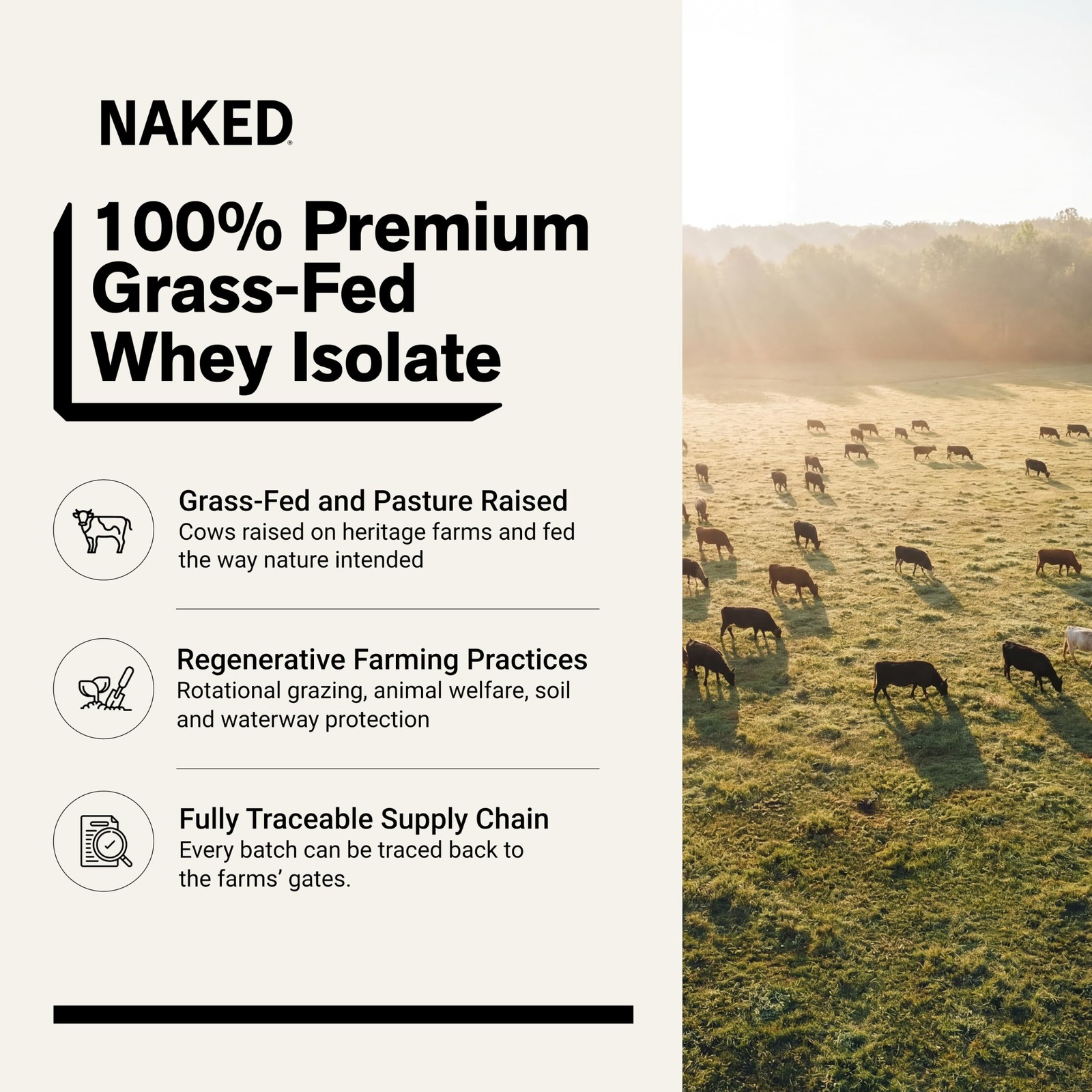 NAKED Whey Isolate Protein – Only 2 Ingredients, 30g 2 Pound (Pack of 1)