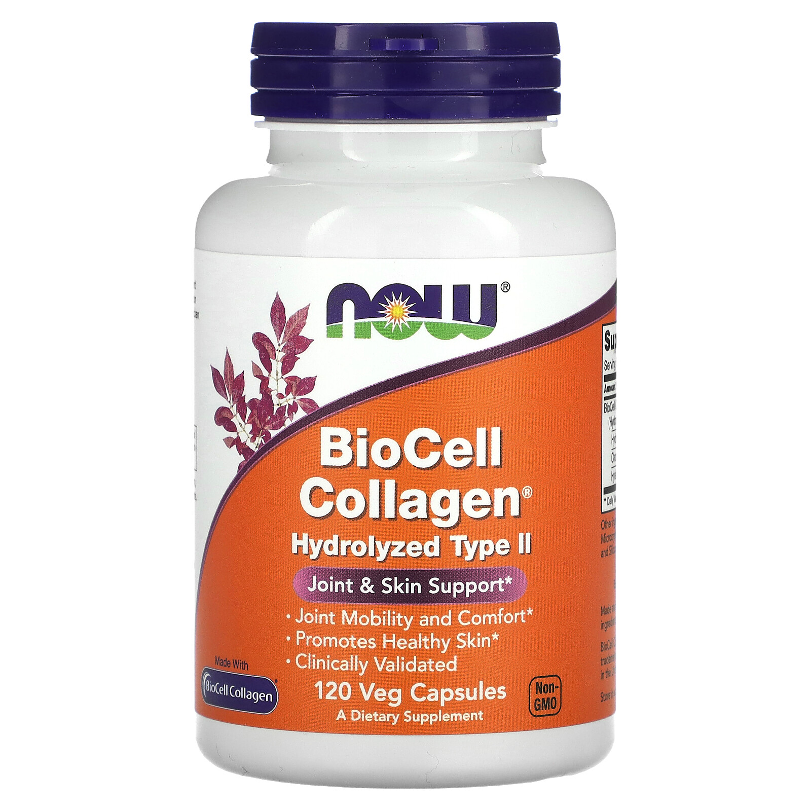 BioCell Collagen, Hydrolyzed Type II, 120 Veg Capsules