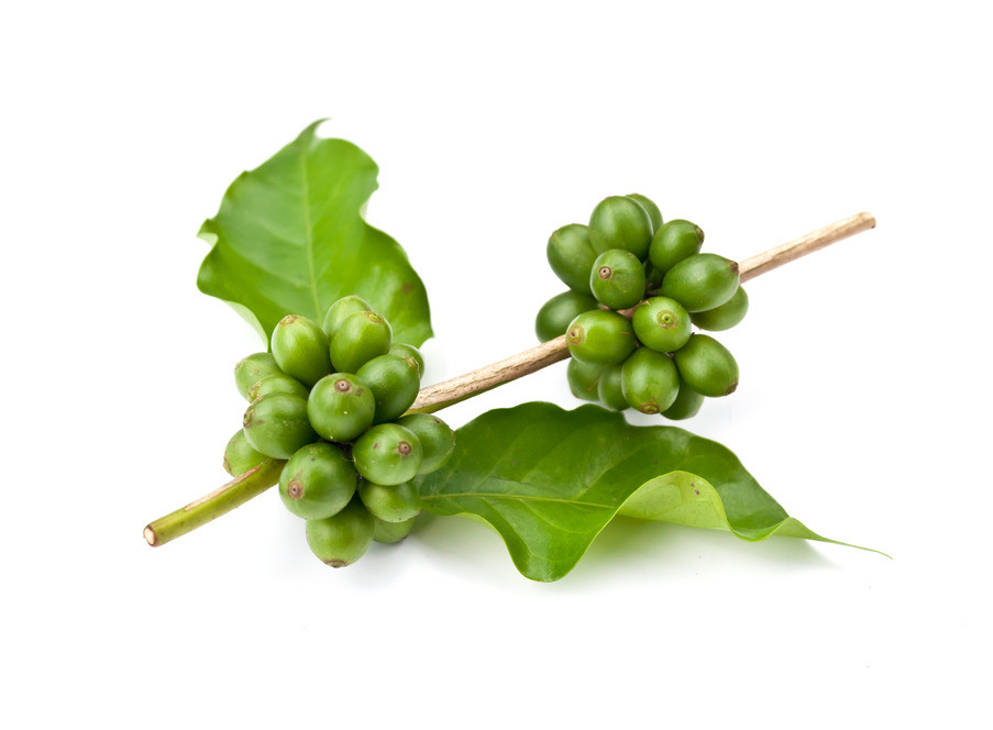 Fat loss diet program – GREEN COFFEE CLEANSE 400MG 2B – green coffee lose Weight
