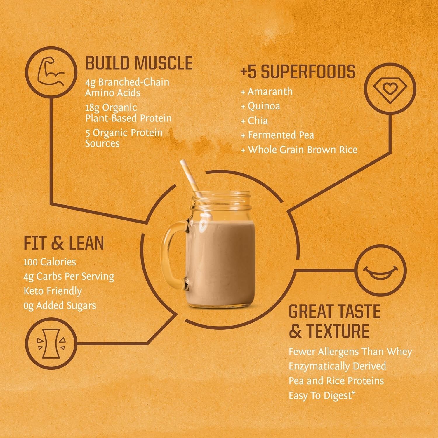 Sunwarrior Organic Classic Plus Vanilla Protein Powder, Vanilla 13.2 oz
