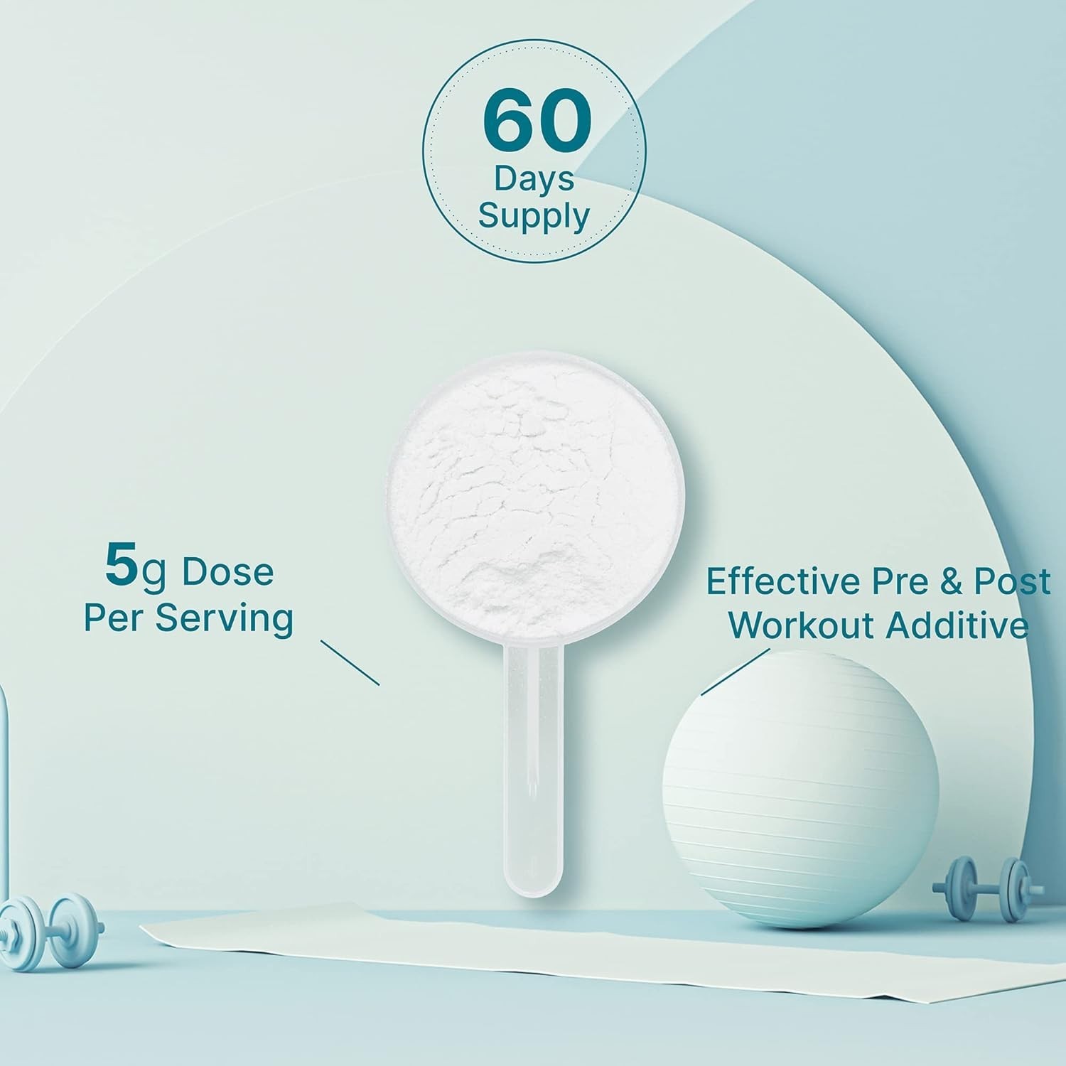 DEAL SUPPLEMENT Instant Creatine Monohydrate Powder, 5g Per Serving – 60 Serving