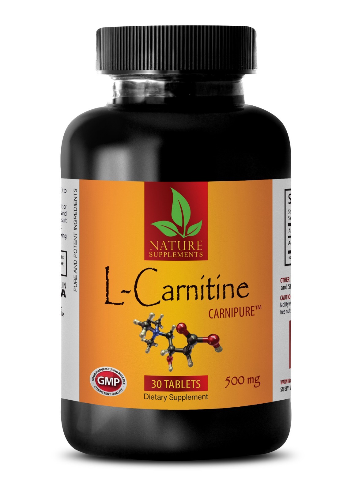 amino acid capsules – L-CARNITINE 500mg – Muscle Endurance Recovery – 1 Bottle