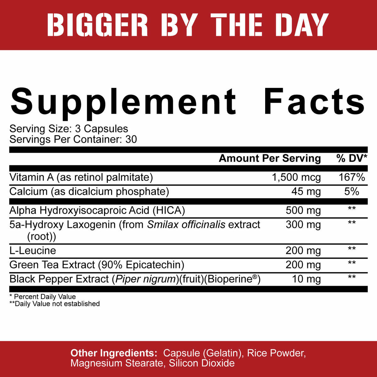 5% Nutrition Rich Piana | Bigger By The Day 90 Capsules LEGENDARY SERIES