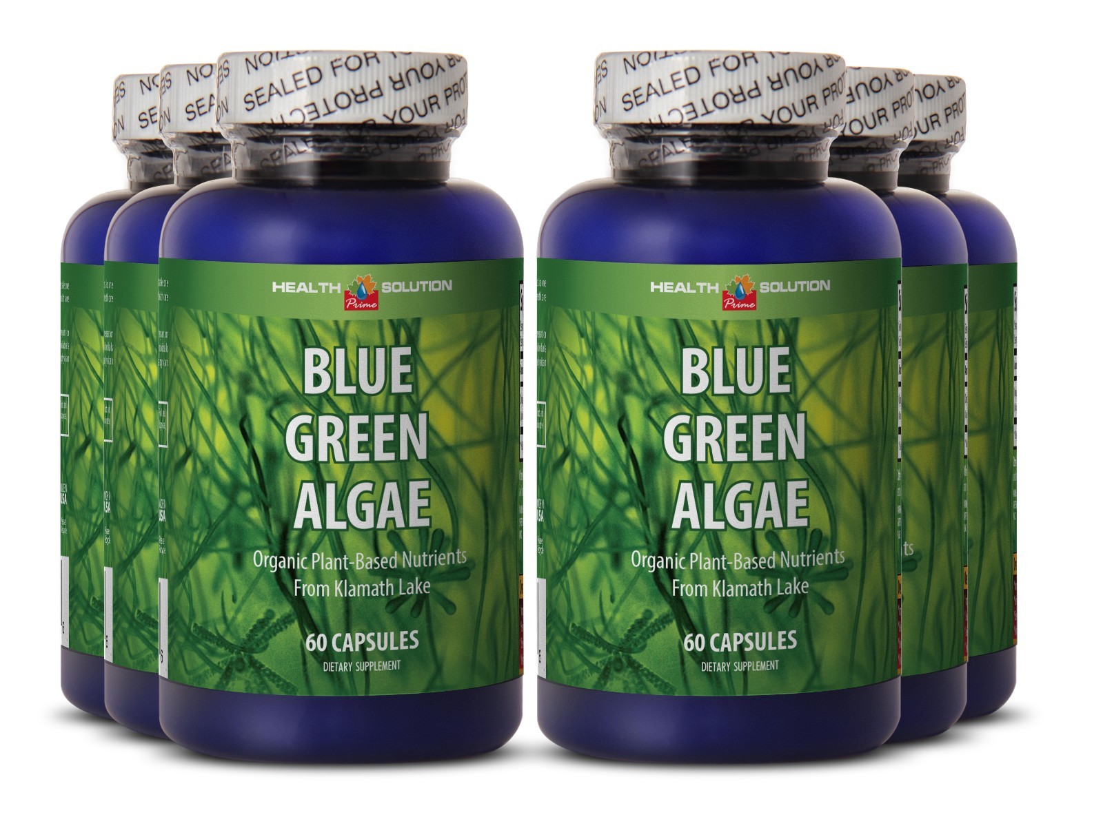 Aids Recovery Rate – Organic Blue Green Algae 500 – Aphanizomenon Powder 6B
