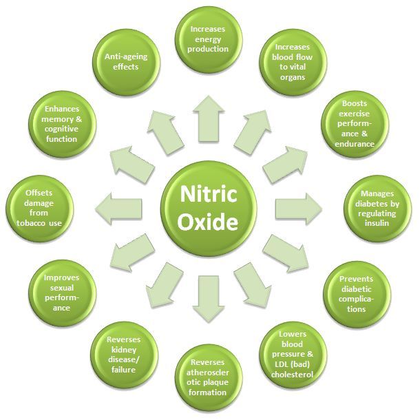 Nitric oxide – NITRIC OXIDE 2400 Mg – 1B – increases blood flow