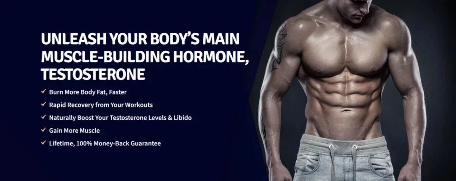 TEST BOOST MAX Sculptnation Testosterone Build Muscle Men Fat Loss XL