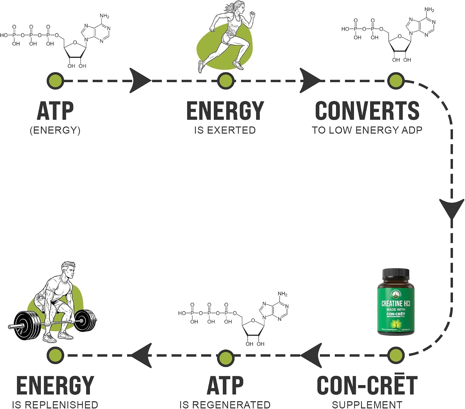 Creatine Hcl Capsules Made with CON-CRET | Creatine Hydrochloride 38X More Solub