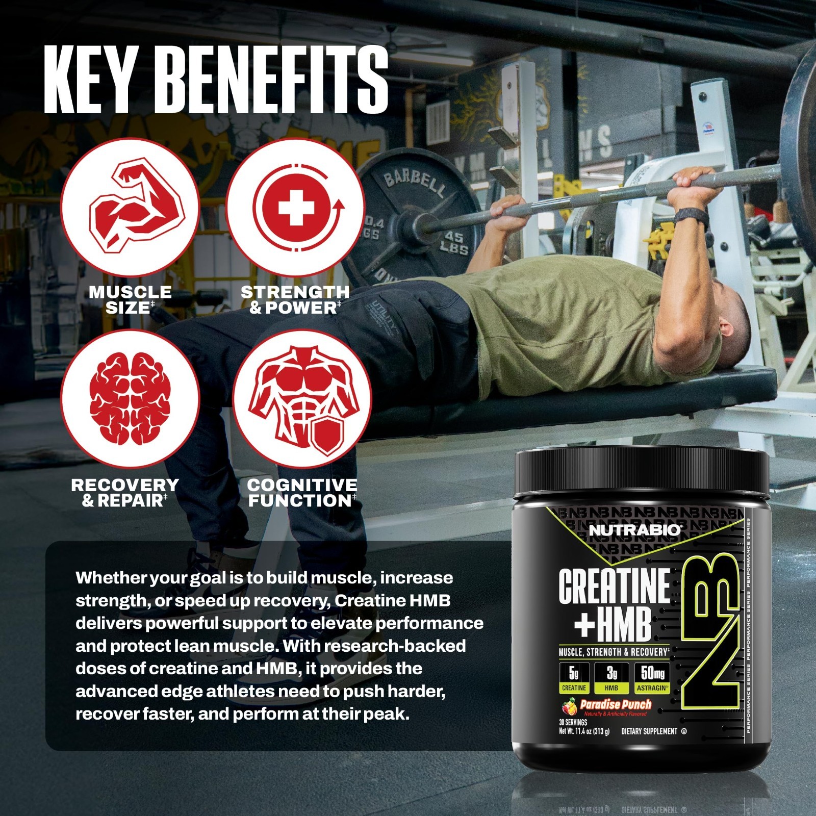 Creatine Monohydrate + HMB Powder for Muscle Growth & Strength – 30 Servings