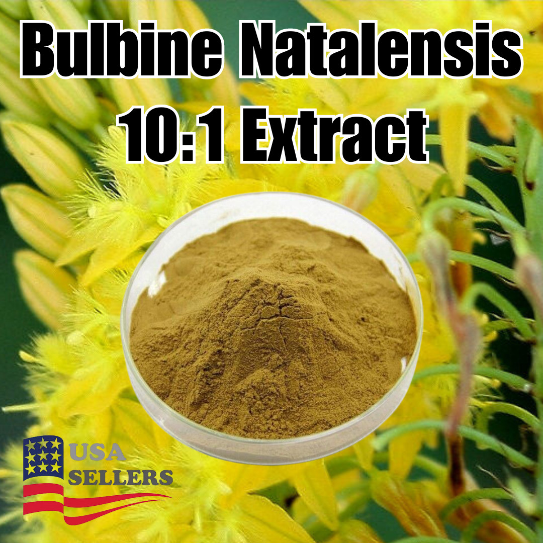 100% Pure Bulbine Natalensis 10:1 Extract Bodybuilding Powder – Muscle Gain 1LB