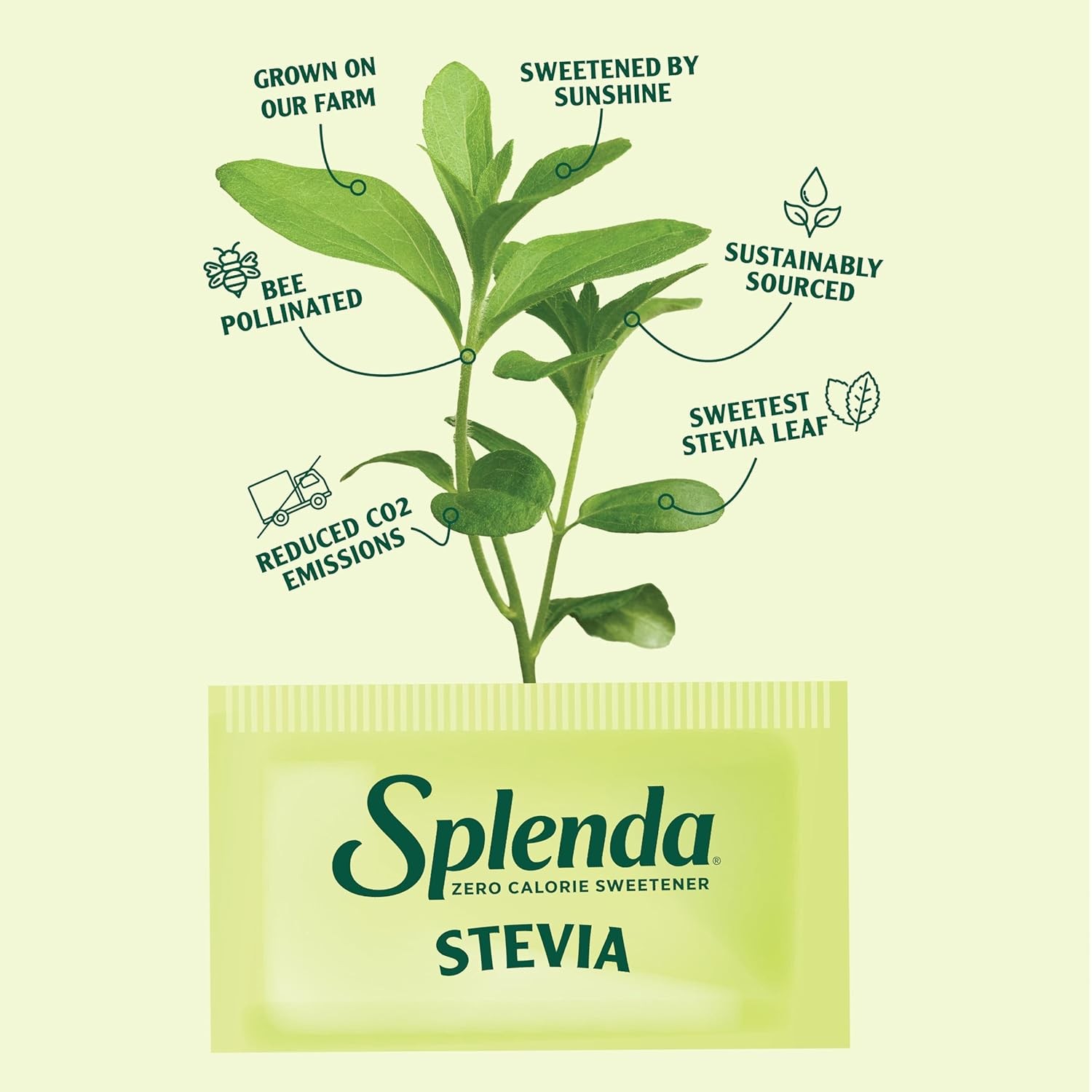 SPLENDA Stevia Zero Calorie Sweetener, Plant Based Sugar 19 Ounce (Pack of 1)
