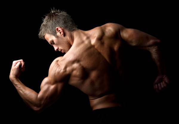 Tribulus Terrestris Extract – Testosterone – Muscle Mass Pump Supplement – 2 Bot