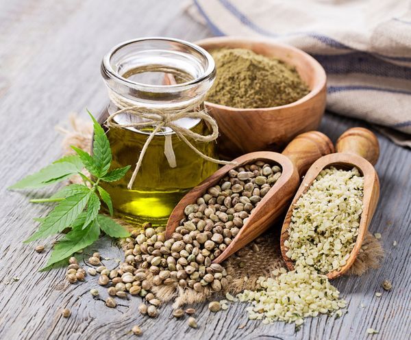 hormone balance – HEMP SEED OIL 700mg – hemp oil for pain relief – 1 Bottle