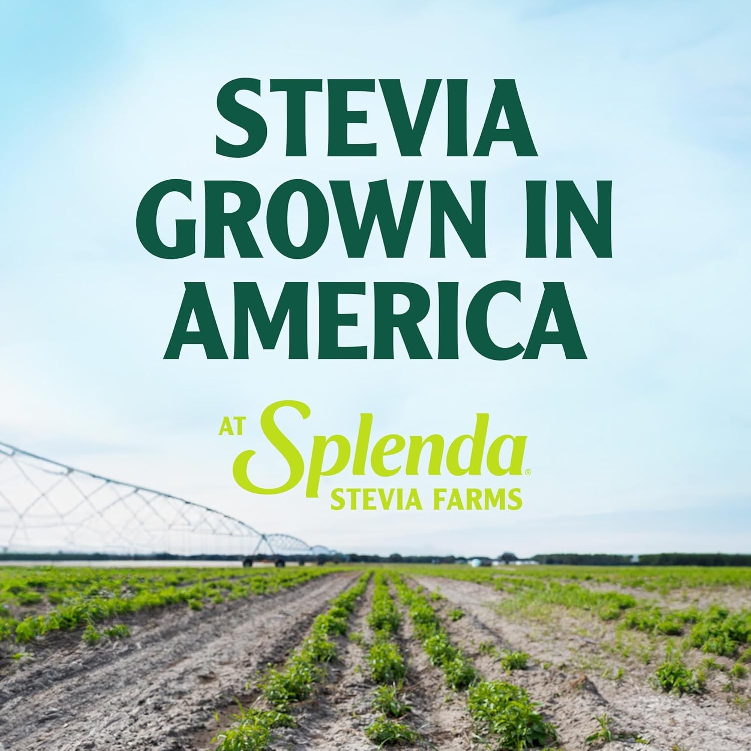 SPLENDA Stevia Zero Calorie Sweetener, Plant Based Sugar 19 Ounce (Pack of 1)