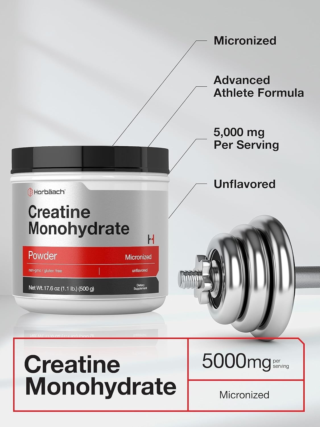 Micronized Creatine Monohydrate Powder 1.1lb – Gluten Free & Vegetarian