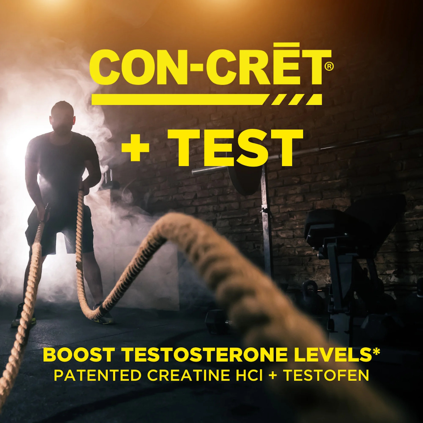 + TEST, Creatine Hcl with Testofen, Boost Testosterone Levels, 60 Capsules, Men’