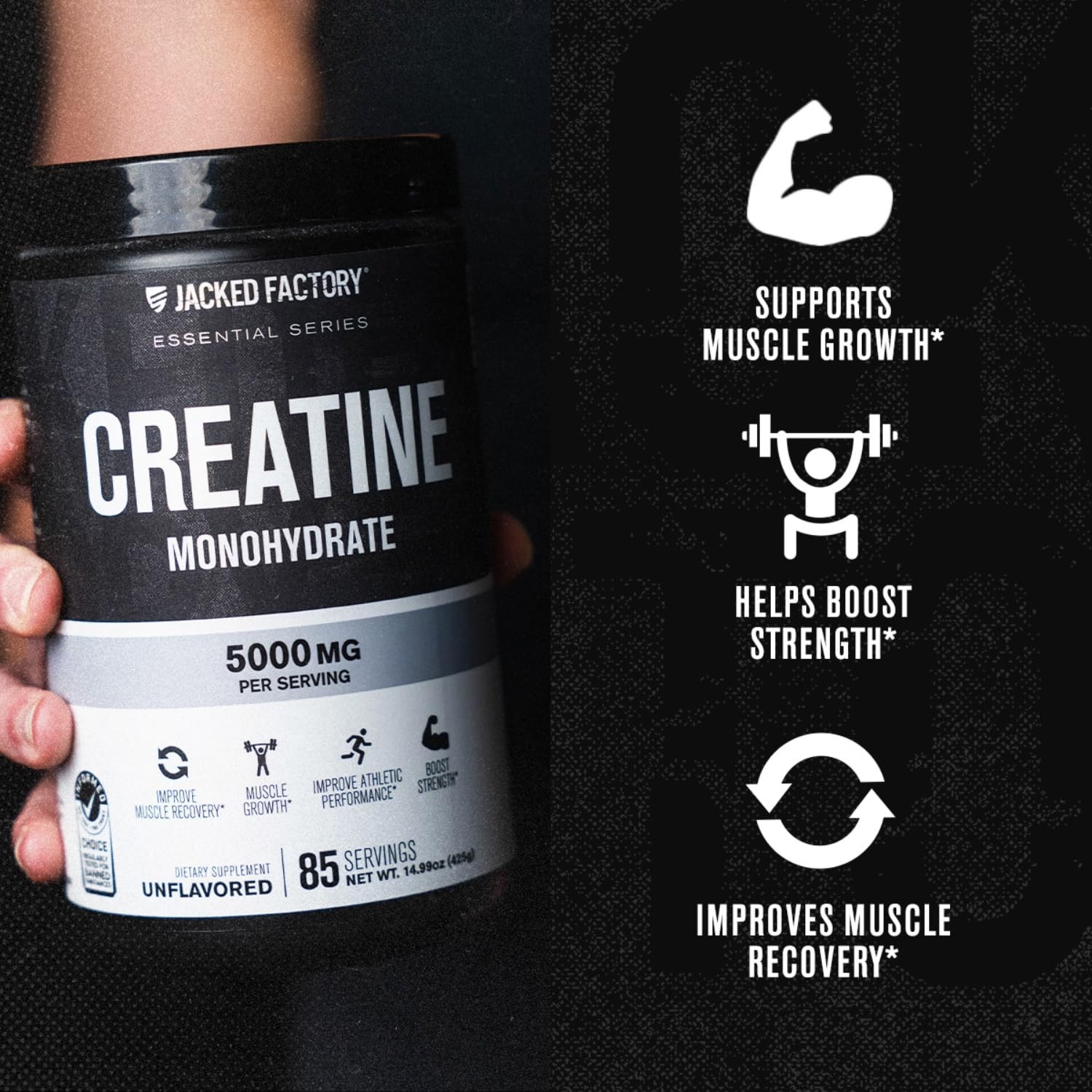 Creatine Monohydrate Powder 425g – 5g Daily Creatine Supplement for Men and W…