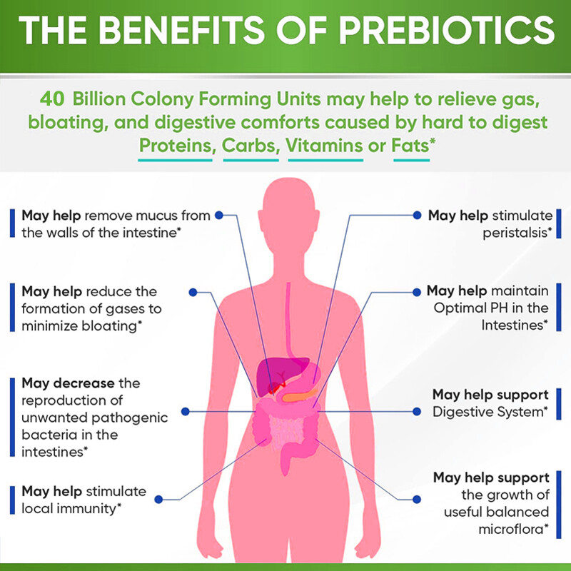 Probiotics -Improve Bloating, Gas and Constipation Provide Longer-lasting Energy