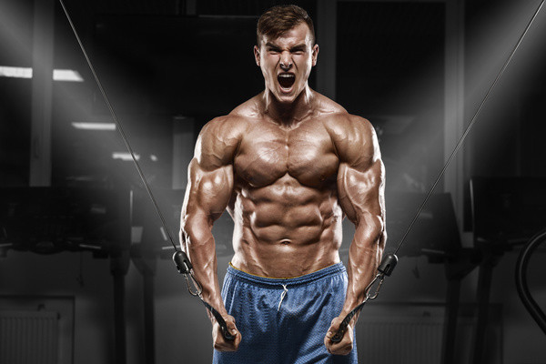 Testosterone Booster – UNLEASH YOUR WOLF – Sex Drive – 60 Capsules