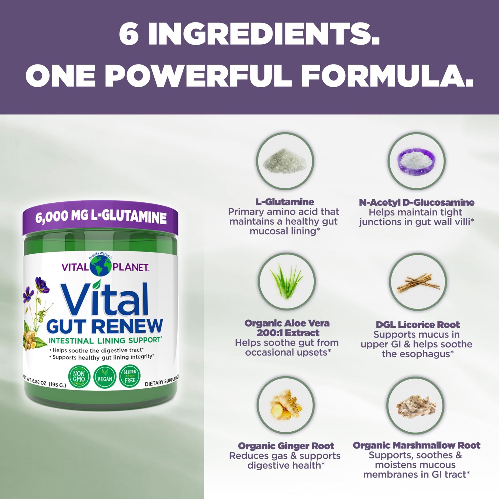 Vital Gut Renew Powder Supplement for Leaky Repair with L-Glutamine,
