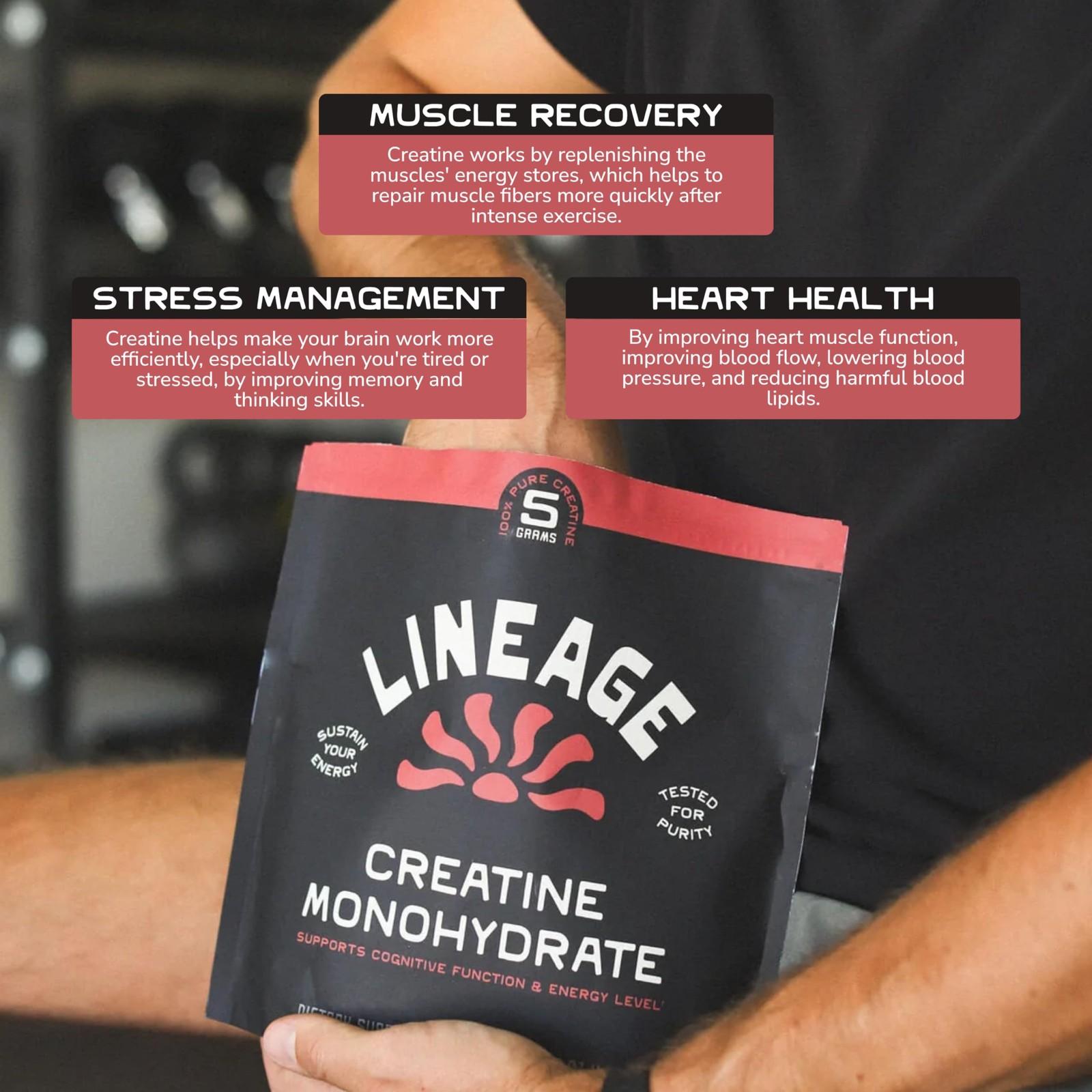 Lineage Provisions Micronized Creatine Monohydrate with Sea Salt 90 Servings