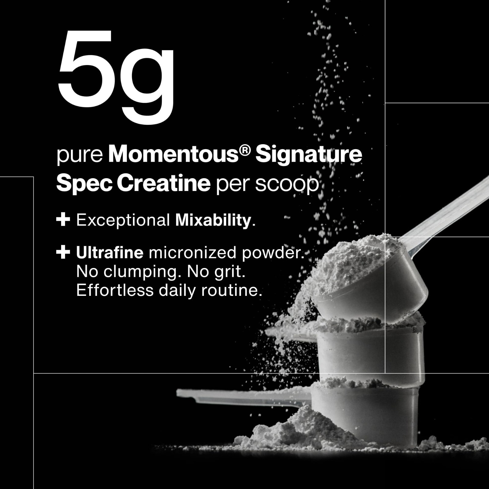 Creatine Monohydrate Powder 5g | Unflavored, NSF Certified, Non-GMO, Gluten-Free