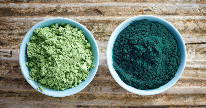 Aids Recovery Rate – Organic Blue Green Algae 500 – Aphanizomenon Powder 6B