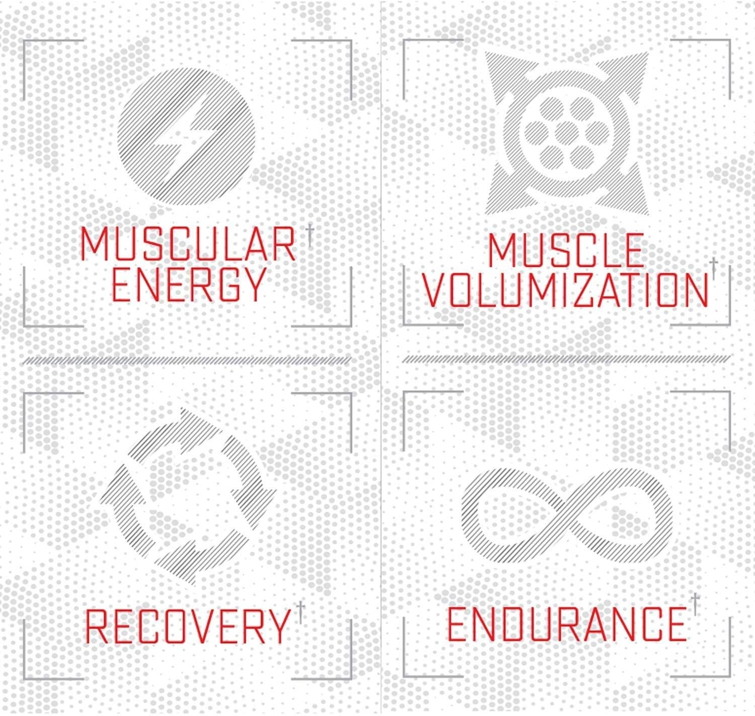 Purus Labs L-Citrulline Malate Powder – Strength & Volumization – 100 Servings