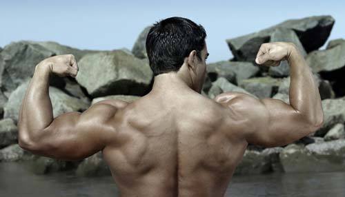 Tribulus Terrestris 1000 Dietary Supplement.Muscle Mass.Testosterone level 1B