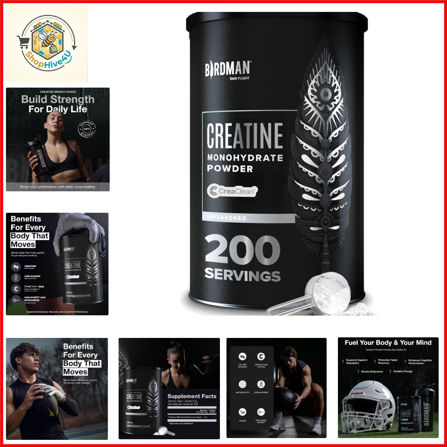 Micronized Creatine Monohydrate Powder, Muscle Recovery, Caffeine Free, Creat…
