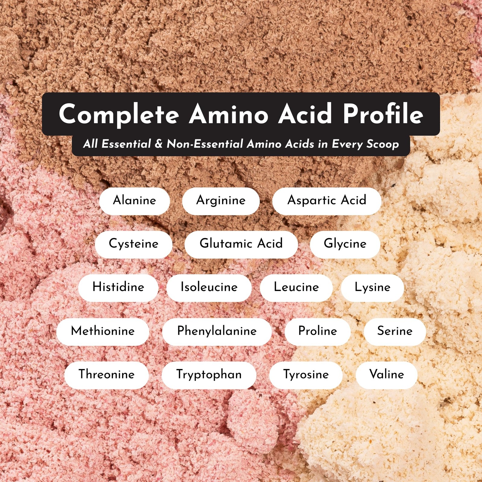 Mint Chocolate Protein Powder | 15 Servings | 24g GrassFed New Zealand Whey +…