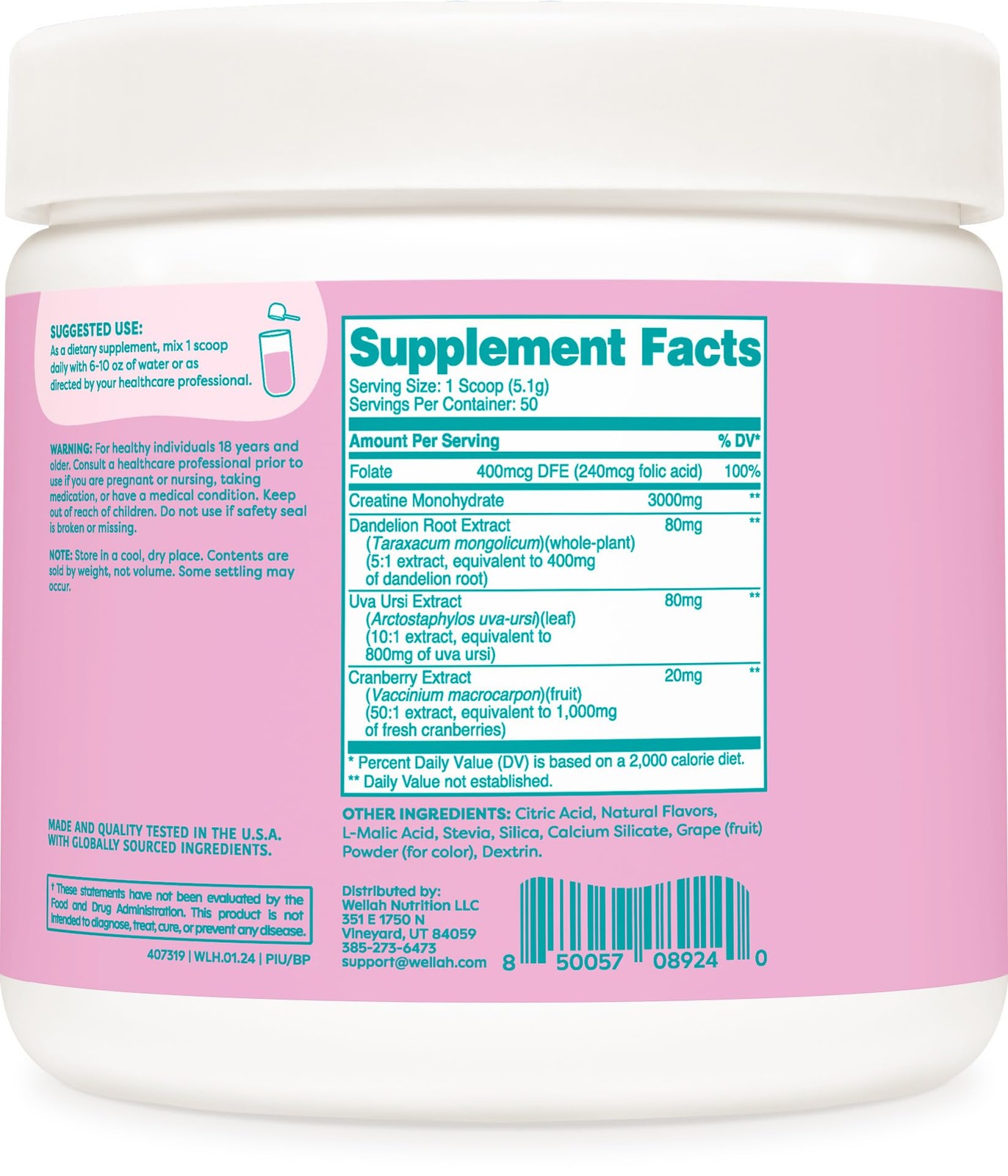 Wellah Pump-It-Up Creatine 50 Servings Blueberry Pomegranate – Creatine Monoh…