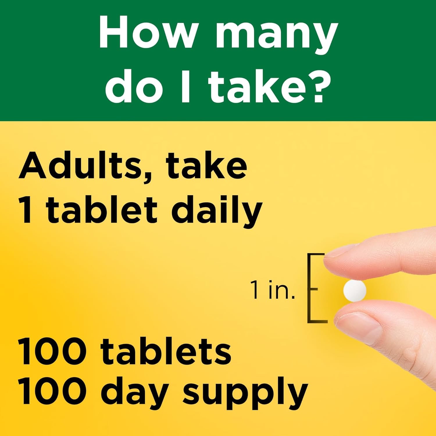 Nature Made Magnesium Oxide 250 mg, 100 Tablets