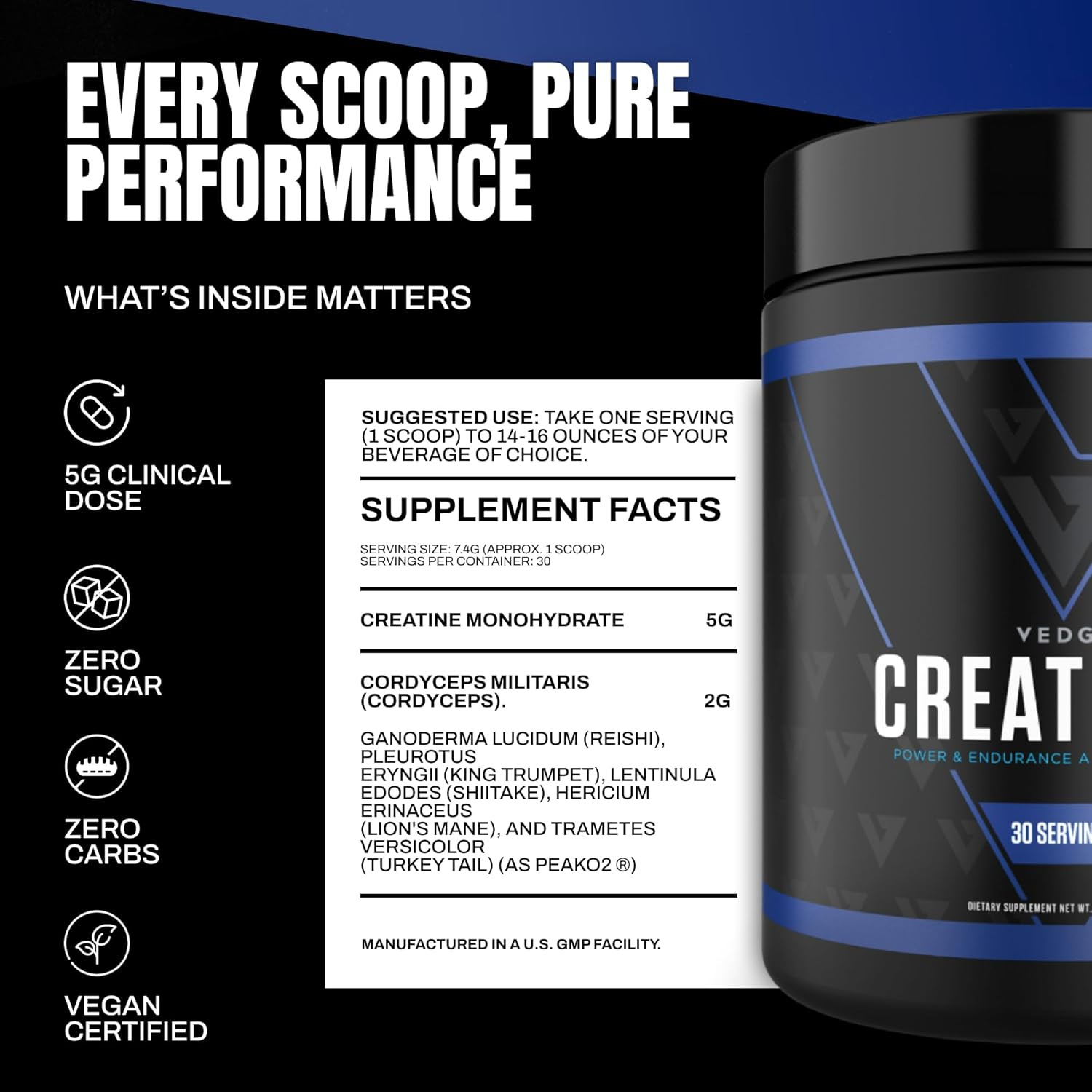 Nutrition Creatine + | Vegan Plant-Based Creatine Monohydrate Powder | Energy, P