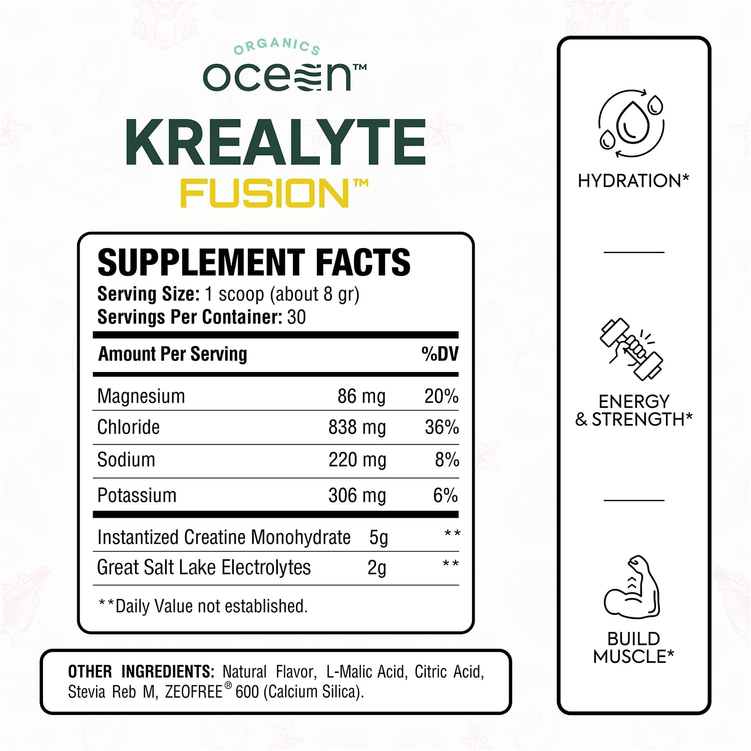 Instantized Creatine Monohydrate Powder with Electrolytes – Muscle Support, 30