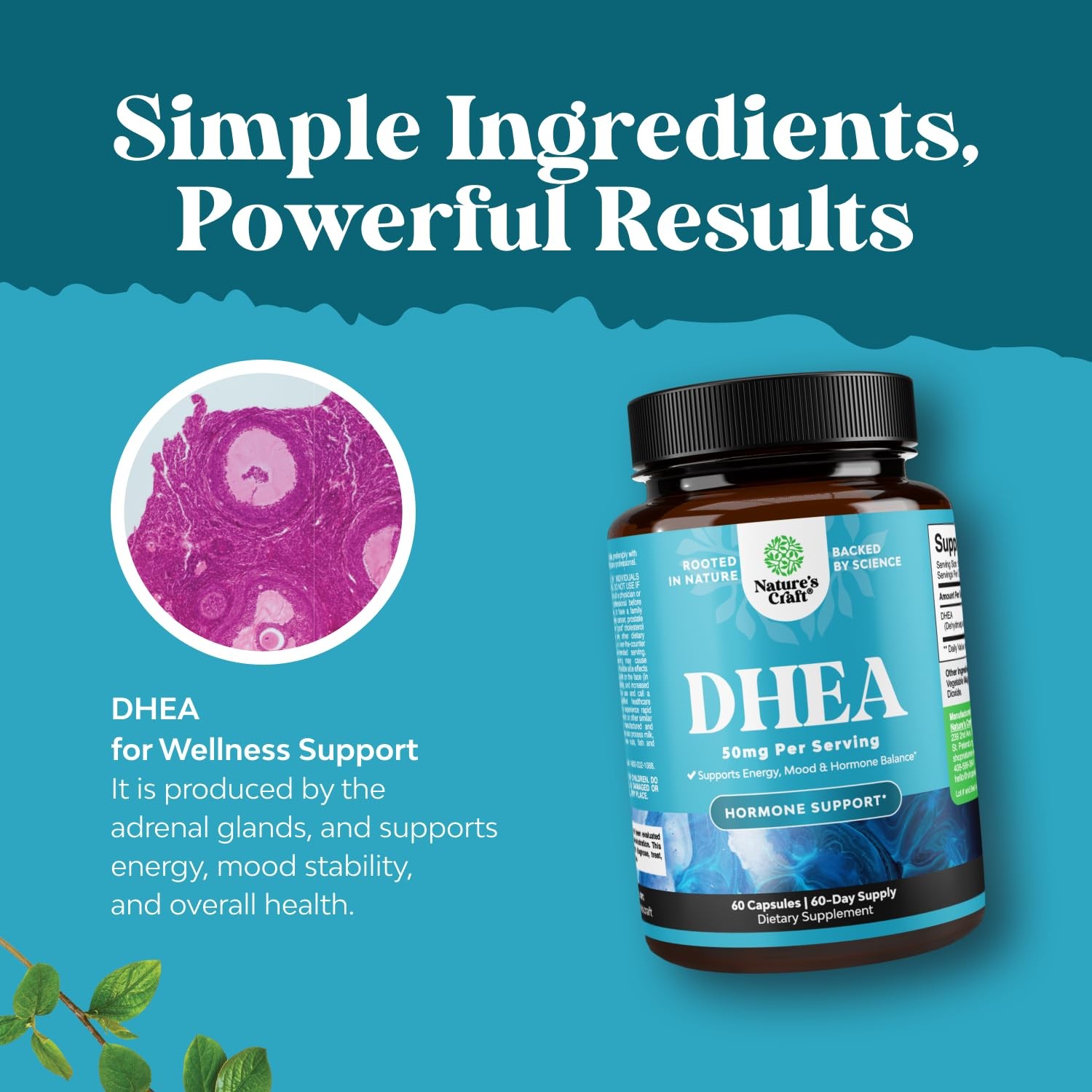 DHEA Supplement for Women & Men – Pure DHEA 50mg for Hormone Balance, Improves M