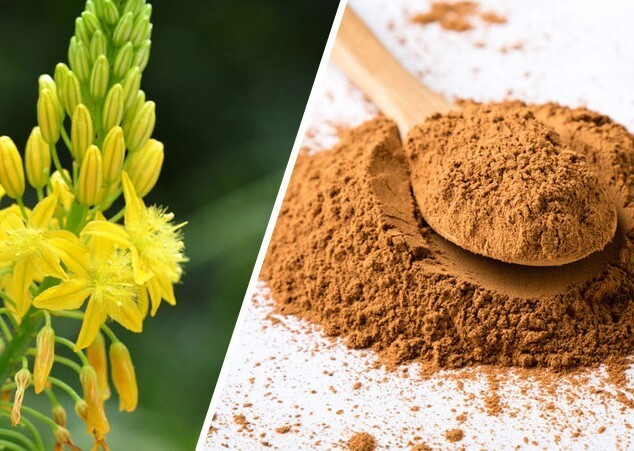 100% Pure Bulbine Natalensis 10:1 Extract Bodybuilding Powder – Muscle Gain 1LB