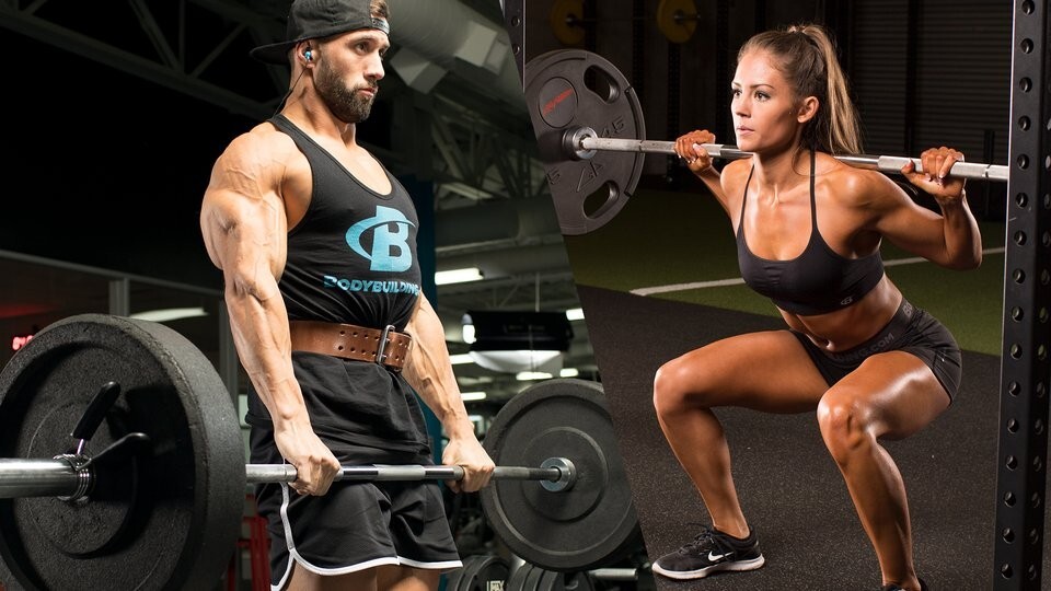 testosterone booster gym – TRIBULUS TERRESTRIS EXTRACT 1000 – 180 Tablets