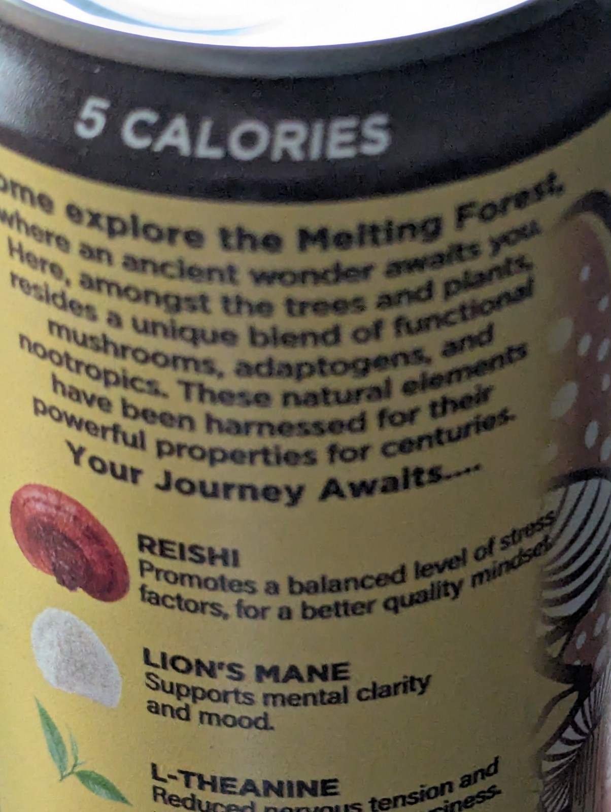 Melting Forest Coconut 🥥 Pineapple 🍍 Carbonated Mushroom Drink
