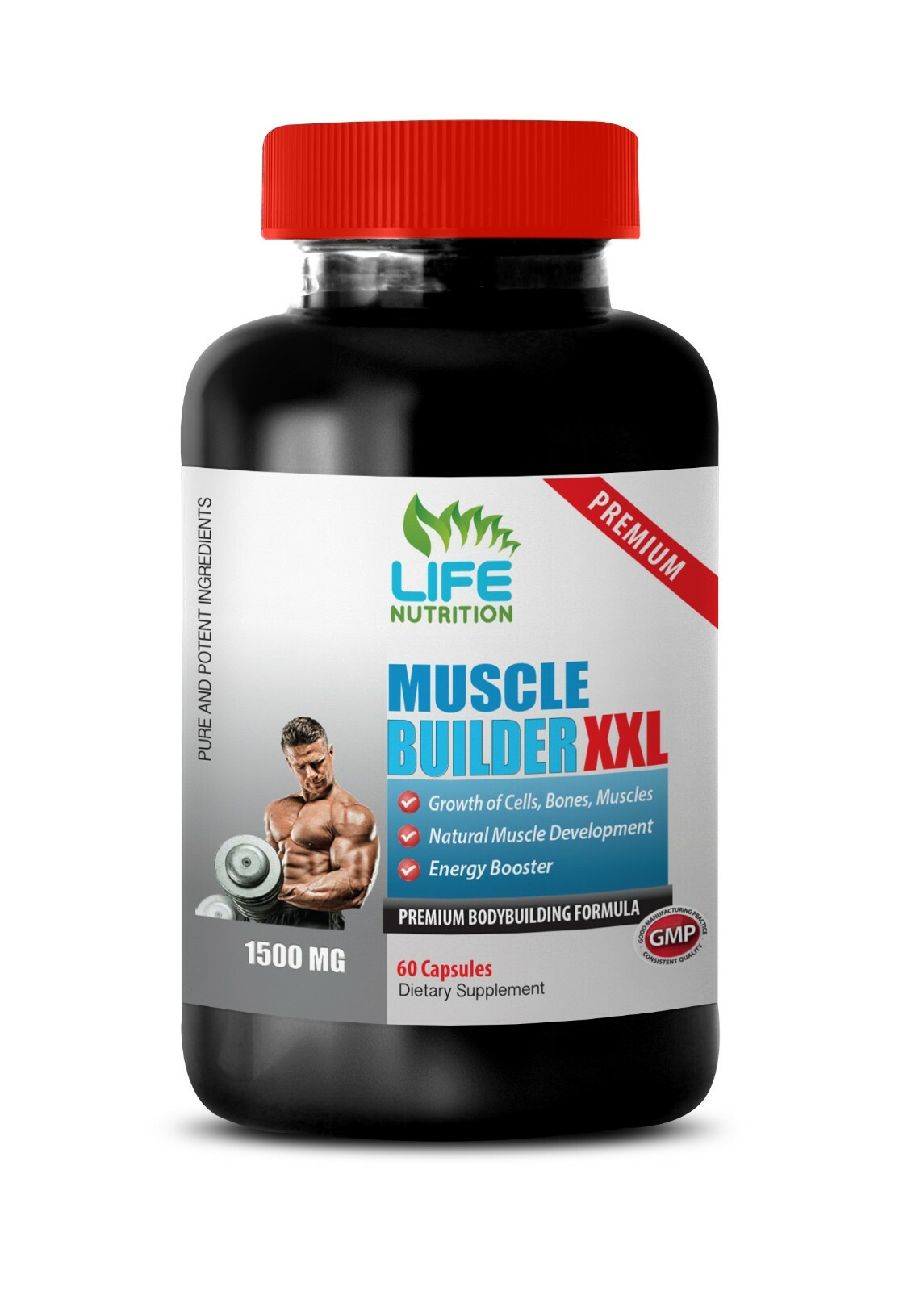 Ornithine Arginine – Muscle Builder XXL 1500mg – Generate Muscle Density 1B