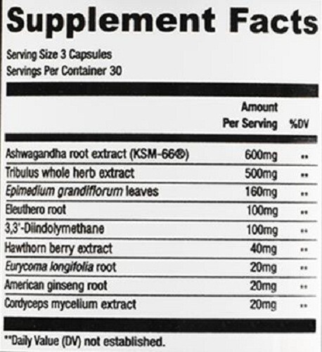 1 TEST BOOST Max + 1 Burn Evolved Sculptnation Testosterone Strength Weight Loss