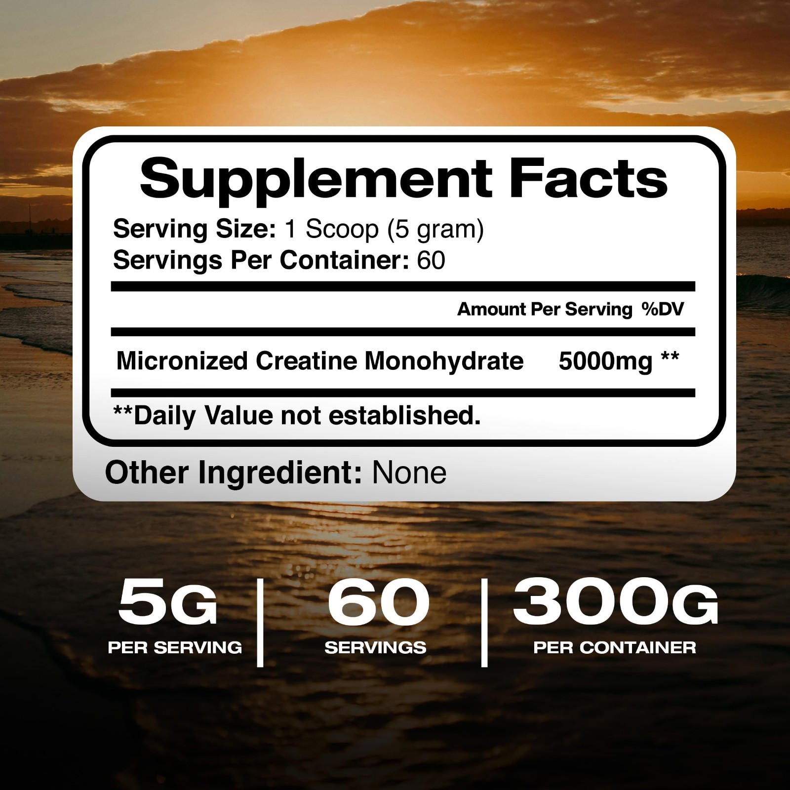 Micronized Creatine Monohydrate Powder – Unflavored, 5000mg/Serving, 60 Servings