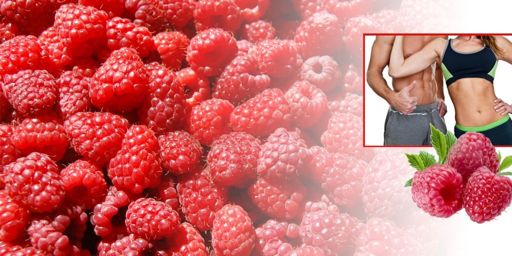 weight loss keto – RASPBERRY KETONES 1200mg 2B – raspberry ketone pill weight