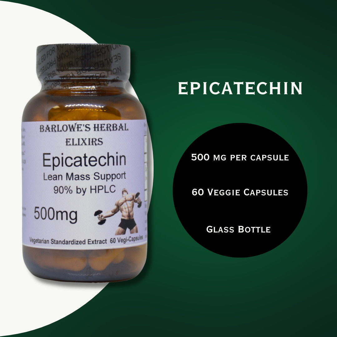 EPICATECHIN Lean Mass Support | 500mg | 60 Veggie Capsules | Glass Bottles