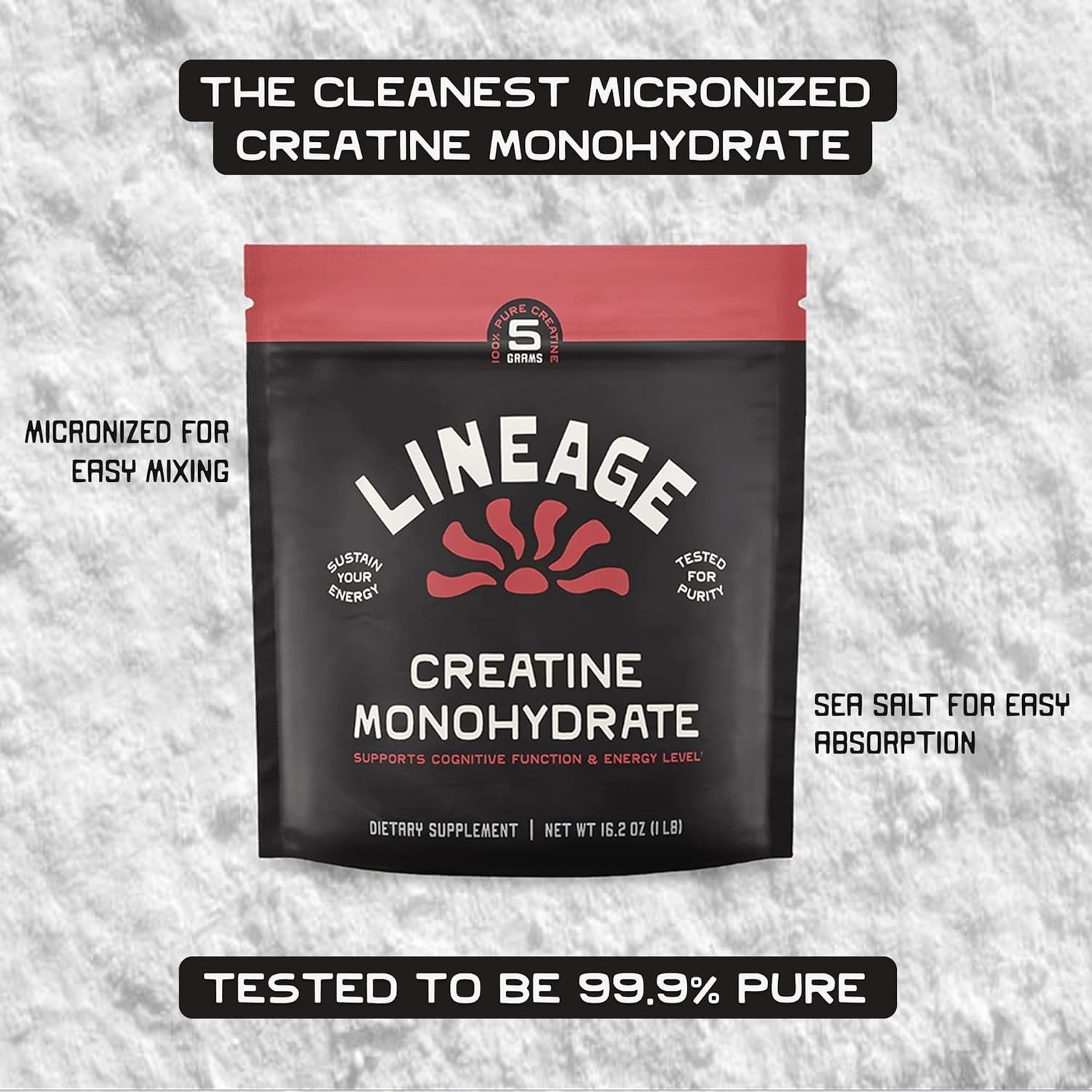 Micronized Creatine Monohydrate with Sea Salt – Micronized Creatine Powder fo…