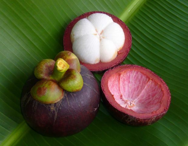 mangosteen capsules, Mangosteen Fruit Extract, multivitamins and minerals 3B