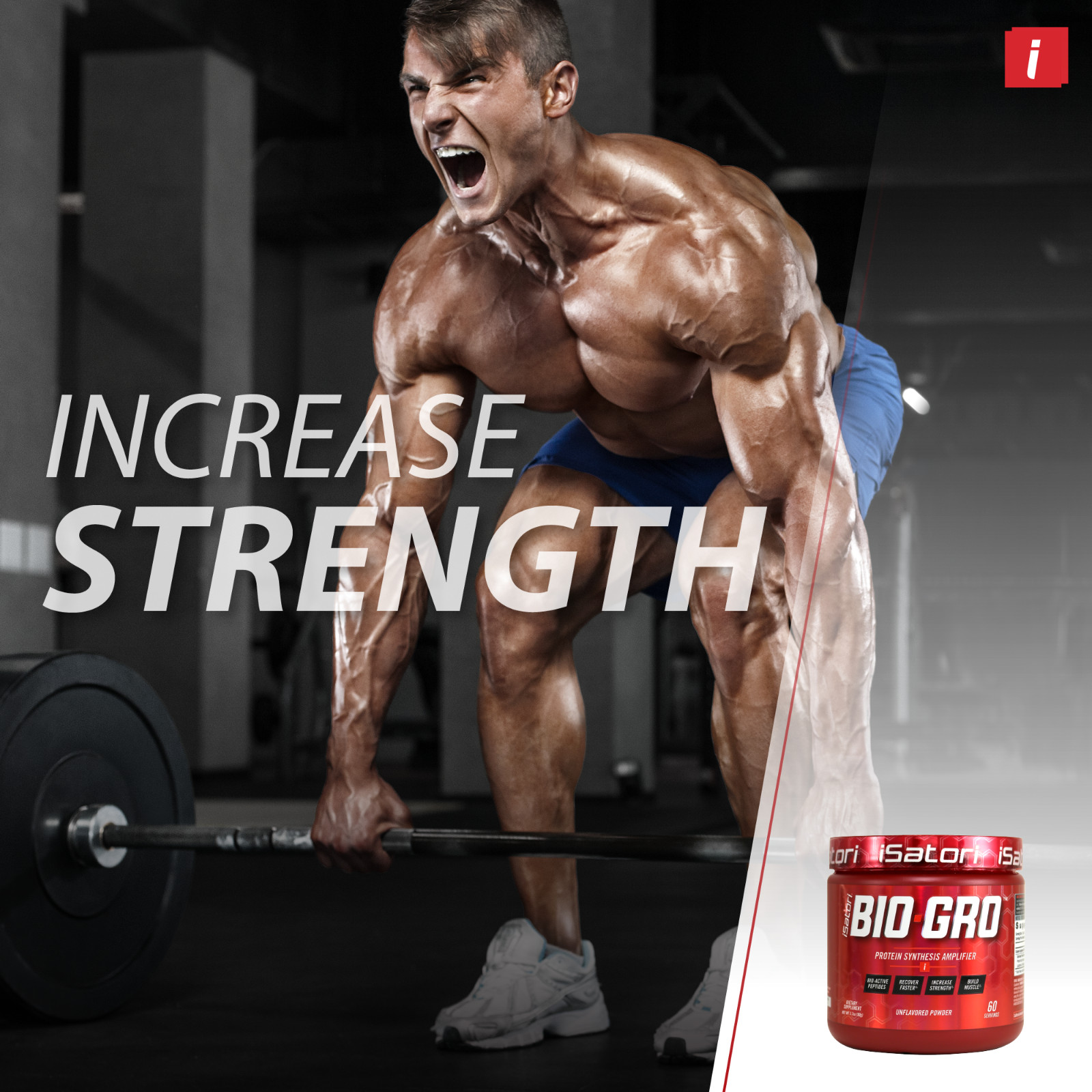 BIO-GRO Protein Muscle, Strength & Recovery – Unflavored / 60 Servings